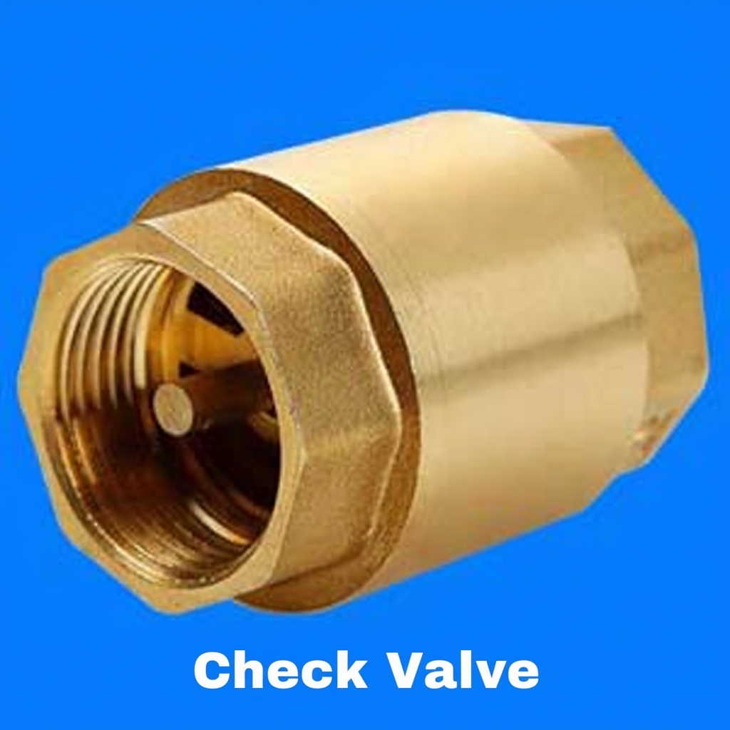Check Valve